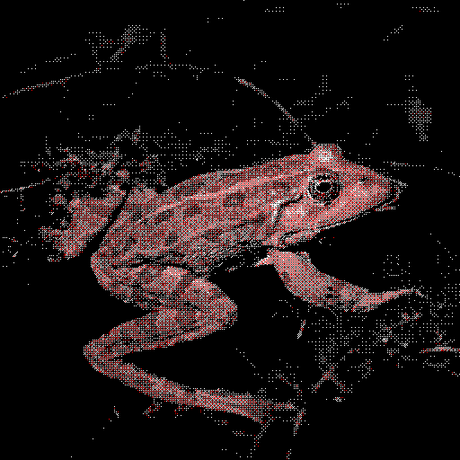 Dithered Image for Frog!