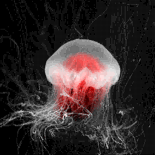 Dithered Image for Jelly 2